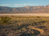 Death Valley 042